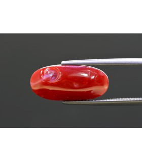 10.7 cts Natural Coral - Moonga (SKU:90160905)