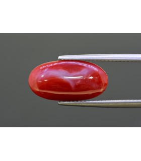 7.99 cts Natural Coral - Moonga (SKU:90160929)