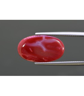 9.94 cts Natural Coral - Moonga (SKU:90160936)