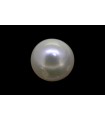 7.68 cts Cultured Pearl (Moti)