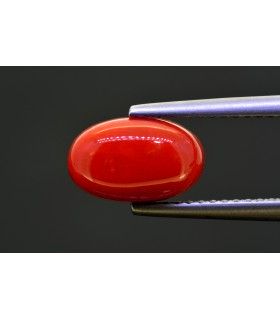2.60 cts Natural Coral (Moonga)