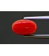 2.60 cts Natural Coral - Moonga (SKU:90154317)