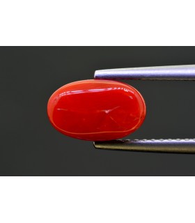 2.60 cts Natural Coral - Moonga (SKU:90154317)