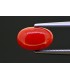 2.57 cts Natural Coral (Moonga)