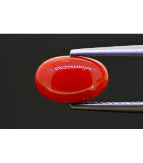 2.57 cts Natural Coral (Moonga)