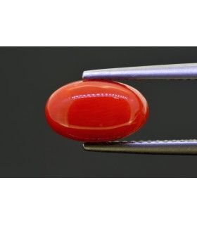 2.75 cts Natural Coral (Moonga)