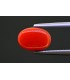 2.85 cts Natural Coral - Moonga (SKU:90154423)