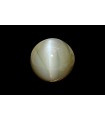 3.19 cts Natural Cats Eye (Lehsunia)