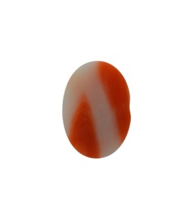 3.1 cts Natural Coral - Moonga (SKU:90053894)