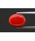 4.56 cts Natural Coral - Moonga (SKU:90157516)