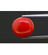 4.75 cts Natural Coral (Moonga)