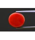 4.75 cts Natural Coral - Moonga (SKU:90157530)