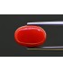 5.17 cts Natural Coral - Moonga (SKU:90157585)