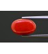 5.25 cts Natural Coral - Moonga (SKU:90157592)