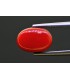 5.23 cts Natural Coral - Moonga (SKU:90157639)