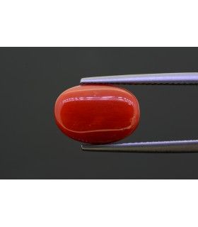 6.49 cts Natural Coral - Moonga (SKU:90145971)