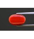 5.08 cts Natural Coral - Moonga (SKU:90157660)