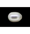 2.7 cts Cultured Pearl (Moti)