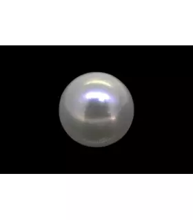 3.78 cts Cultured Pearl (Moti)