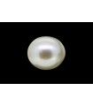 2.61 cts Cultured Pearl (Moti)