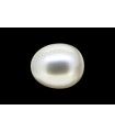 2.3 cts Cultured Pearl (Moti)