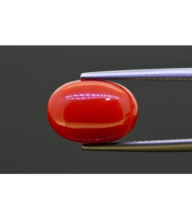 7.19 cts Natural Coral (Moonga)