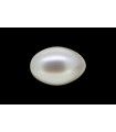 2.19 cts Cultured Pearl (Moti)