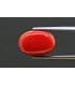 7.19 cts Natural Coral - Moonga (SKU:90157714)