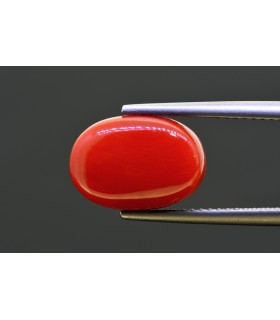 7.19 cts Natural Coral - Moonga (SKU:90157714)