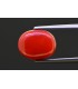 7.23 cts Natural Coral - Moonga (SKU:90157721)