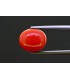 7.61 cts Natural Coral (Moonga)