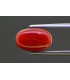 4.6 cts Natural Coral - Moonga (SKU:90157936)