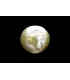 6.03 cts Natural Cats Eye - Lehsunia (SKU:90090974)