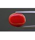 11.75 cts Natural Coral - Moonga (SKU:90157950)