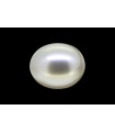 2.58 cts Cultured Pearl (Moti)