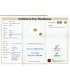 8.3 cts Unheated Natural Yellow Sapphire - Pukhraj (SKU:90156120)