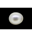 2.64 cts Cultured Pearl (Moti)