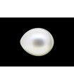 2.75 cts Cultured Pearl (Moti)