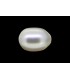 2.7 cts Cultured Pearl (Moti)