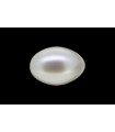 2.19 cts Cultured Pearl (Moti)