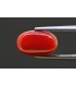 4.84 cts Natural Coral - Moonga (SKU:90158162)