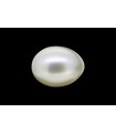 2.41 cts Cultured Pearl (Moti)