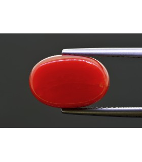 7.28 cts Natural Coral - Moonga (SKU:90156229)