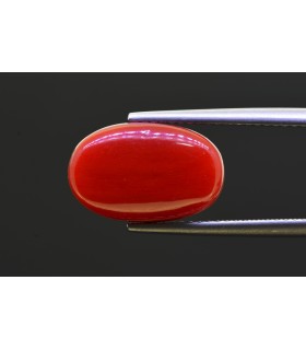 7.5 cts Natural Coral - Moonga (SKU:90156236)