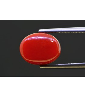 5.81 cts Natural Coral - Moonga (SKU:90158209)