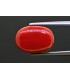 8.9 cts Natural Coral - Moonga (SKU:90156267)