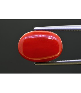 8.9 cts Natural Coral - Moonga (SKU:90156267)