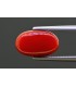 5.81 cts Natural Coral - Moonga (SKU:90158230)