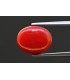 5.94 cts Natural Coral - Moonga (SKU:90158254)