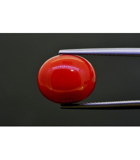 9.05 cts Natural Coral (Moonga)